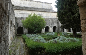 Cloitre de Abbaye de Silvacane (La Roque d'Anthéron-13)