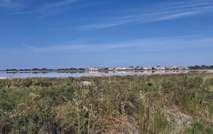 Salin de Giraud au loin
