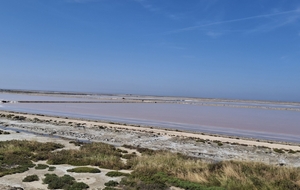 Salines