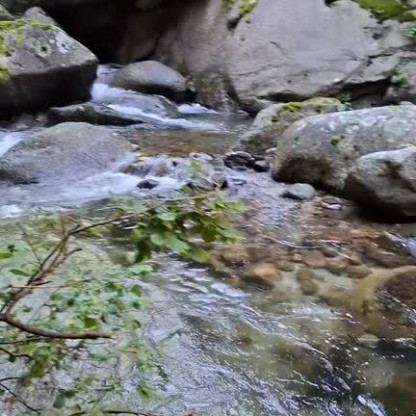 Gorges de la Carans